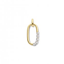 Hanger 18 karaat met diamant, briljant geslepen - 117111