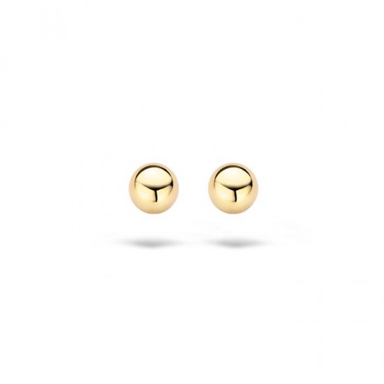 Oorbellen Blush - 112209