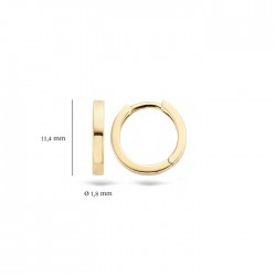 Blush oorbellen - 113699
