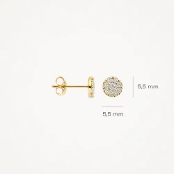 Blush oorbellen met zirconium stenen - 120988