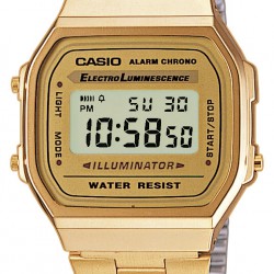 Casio - 101523