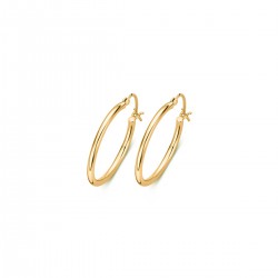 Oorbellen Naiomy plaqué - 115801